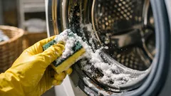 Come eliminare la muffa dalla guarnizione della lavatrice con bicarbonato e aceto