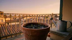 Come coltivare cipolle in vaso sul balcone: guida semplice per principianti