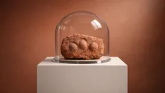 Scoperte in Spagna quattro uova di titanosauro vecchie 72 milioni di anni