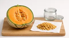 Come conservare i semi di melone: guida semplice per essiccarli e riutilizzarli