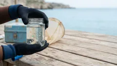 Microplastiche in mare: perché non restano in superficie e dove finiscono davvero