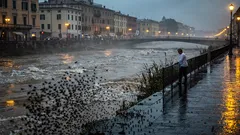 Mosca nera (barigüí): cos’è, perché arriva dopo le piogge e come difendersi