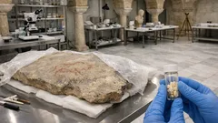 Sulawesi riscrive la storia dell’arte rupestre: il suino di 45.500 anni che sorprende gli archeologi