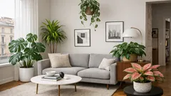 Piante da interno facili: 5 scelte che trasformano subito l’atmosfera di casa